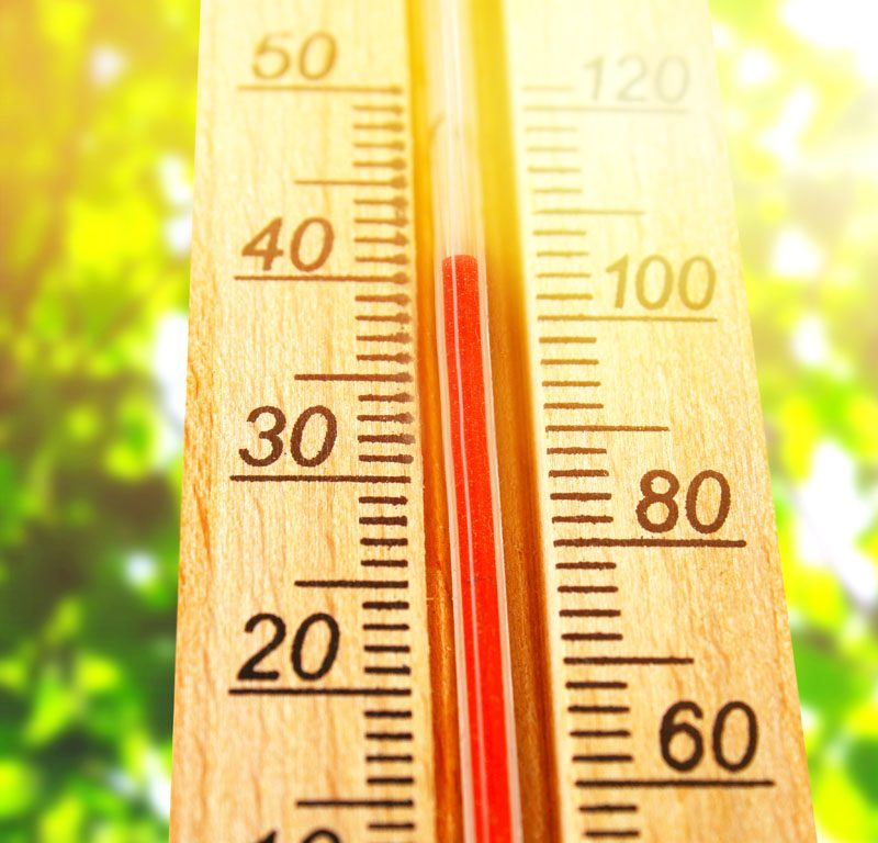 The effects of heatwaves and how shading can help keep us cool